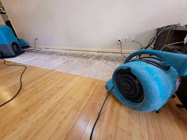 Professional Emergency Water Damage technician working in Helen, WV